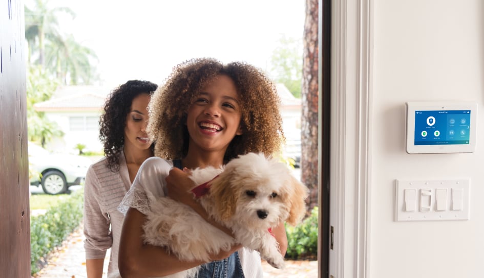 ADT Security System in a St. Louis home